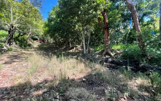 Large property in the nature of Atenas