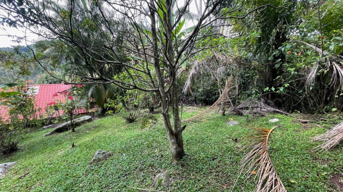 Large home in the coffee hills above Atenas on 1/2 acre - San Isidro