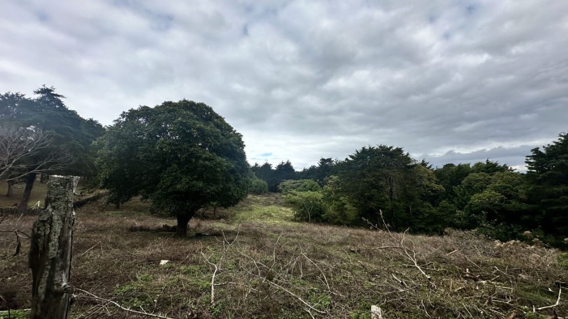 Costa Rica Real Estate