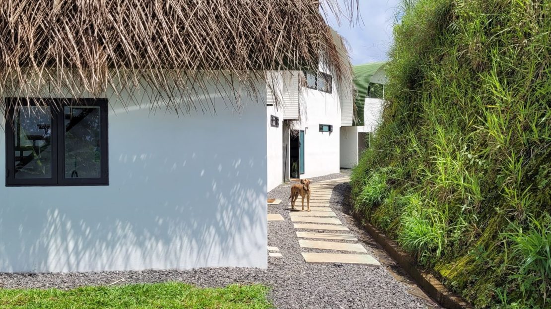 Present Airbnb with potential for boutique hotel