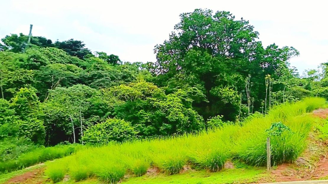 Lot for Sale Hacienda Natura