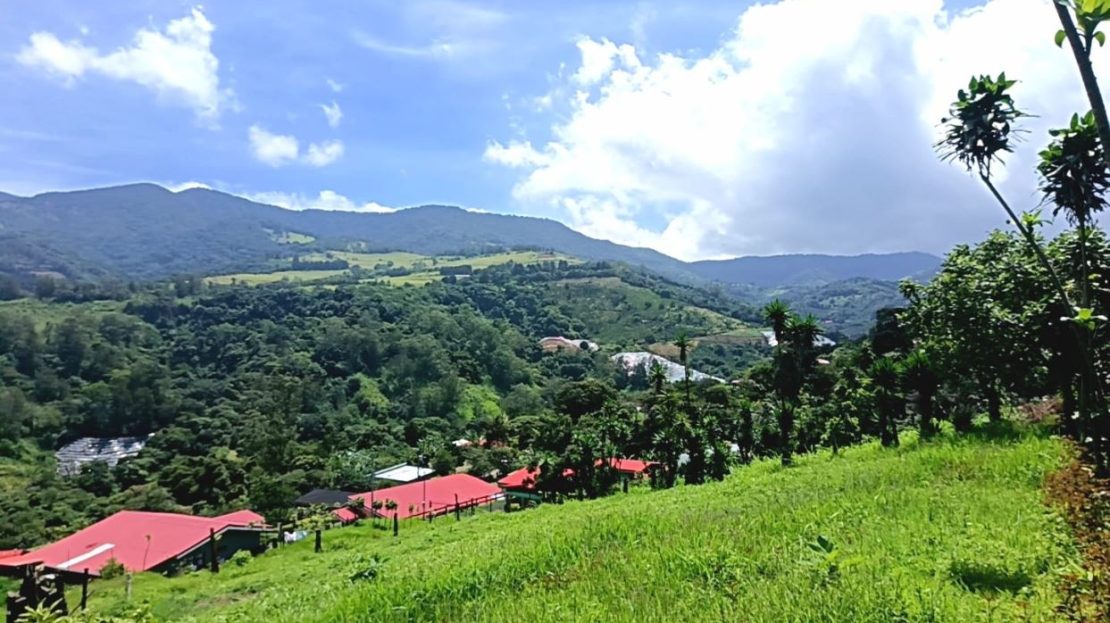 Valverde Vega Sarchí