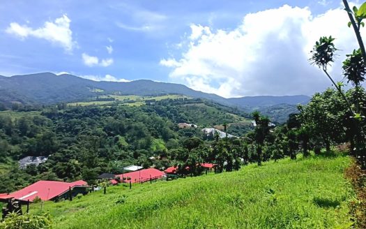 Valverde Vega Sarchí