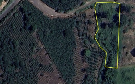 Lot for Sale in Private Development in San Rafael, Heredia – 36,275 ft² (0.83 acres) | Tranquility, Nature and Convenience