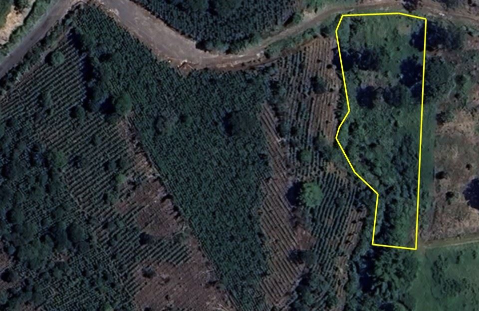 Costa Rica Real Estate