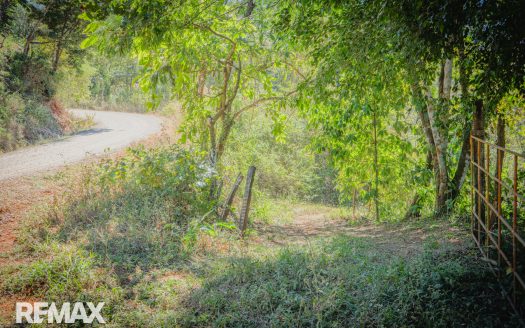 Nature First- Finca in Naranjal Mountains overlooking Nosara and Samara