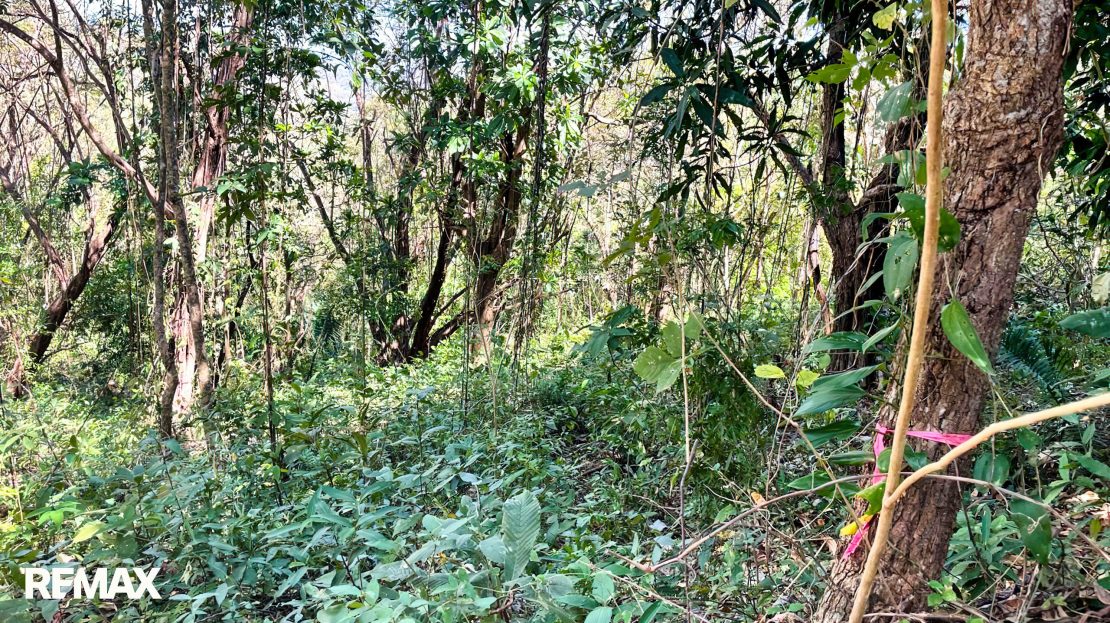 GUANACASTE Guanacaste | REMAX