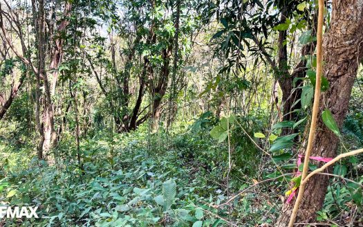 OFF GRID LIVING- SAN JUANILLO, GUANACASTE