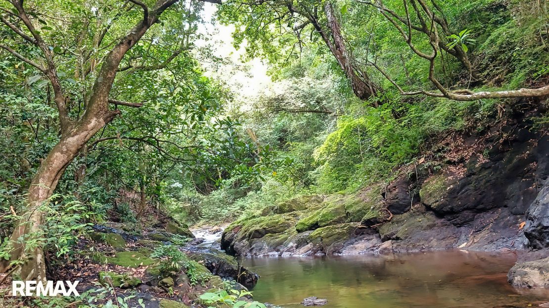 OFF GRID LIVING- SAN JUANILLO