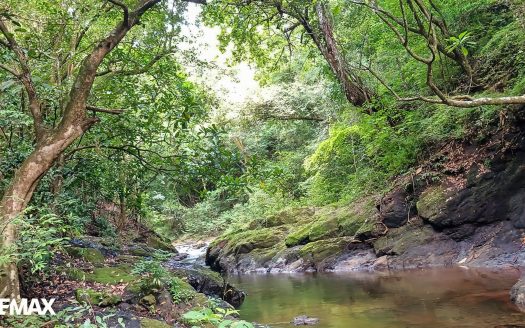 OFF GRID LIVING- SAN JUANILLO