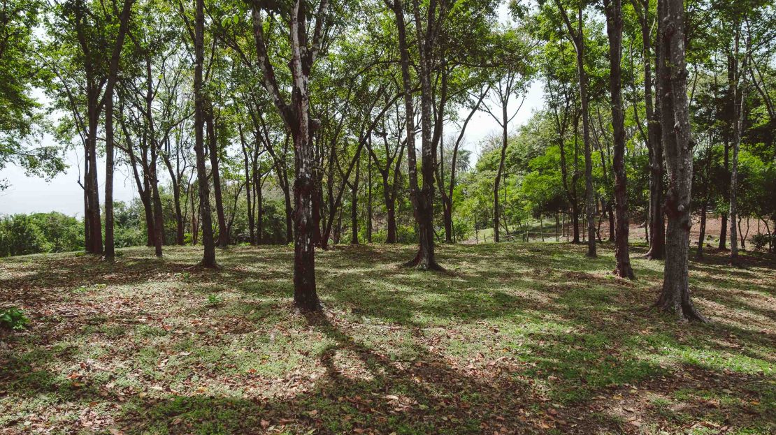 Ocean Crest A10 – Guanavista Guanacaste | REMAX