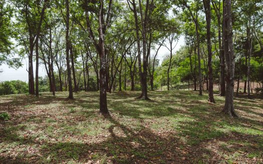 Ocean Crest A10 – Guanavista Guanacaste | REMAX