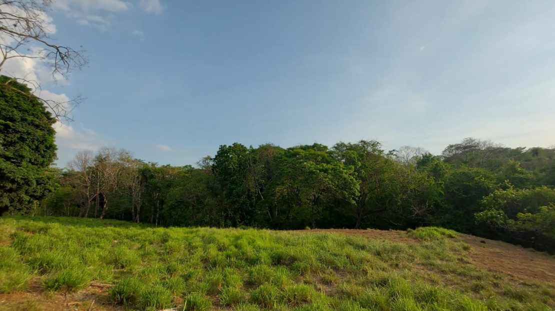 Orotina For Sale 23139 | RE/MAX Costa Rica Real Estate