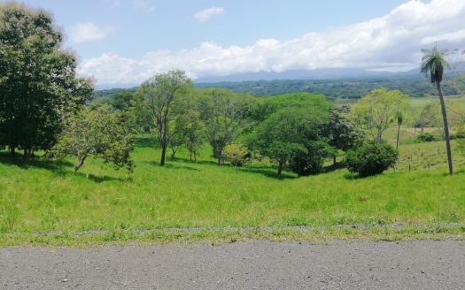 PROPERTY FOR SALE IN DEVELOPMENT AREA