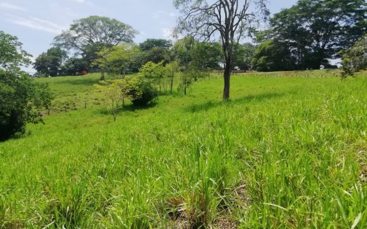 Orotina For Sale 23143 | RE/MAX Costa Rica Real Estate