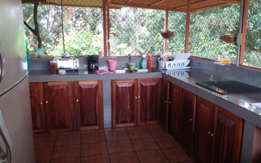 3 Large Estate │ Private River │ Owner Financing │ La Ceiba
