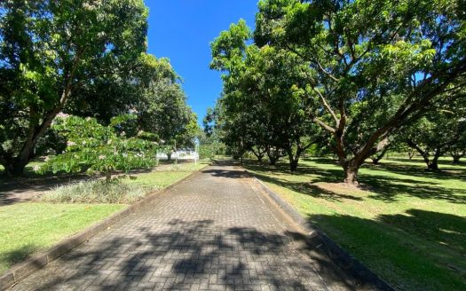 Excellent Investment Opportunity in Coyolar, Orotina