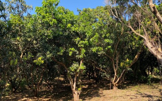 Orotina For Sale 24628 | RE/MAX Costa Rica Real Estate