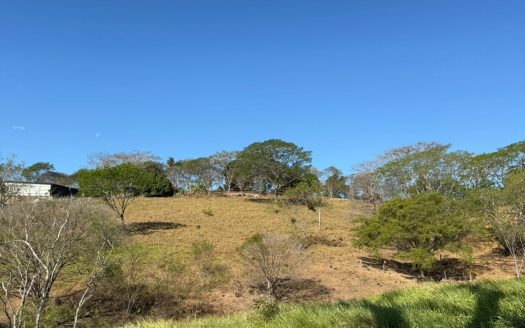 Industrial Property for Sale in Orotina – Strategic Location