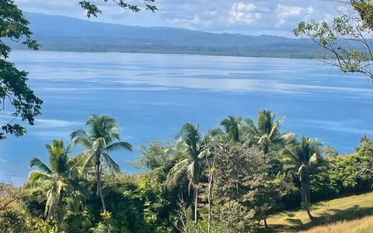 Golfo Dulce oceanfront estate for sale | REMAX Jungle Properties