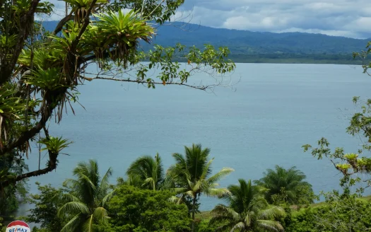 Osa Real Estate Listings 29998