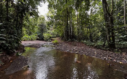 Osa Ocean View Waterfall Estate