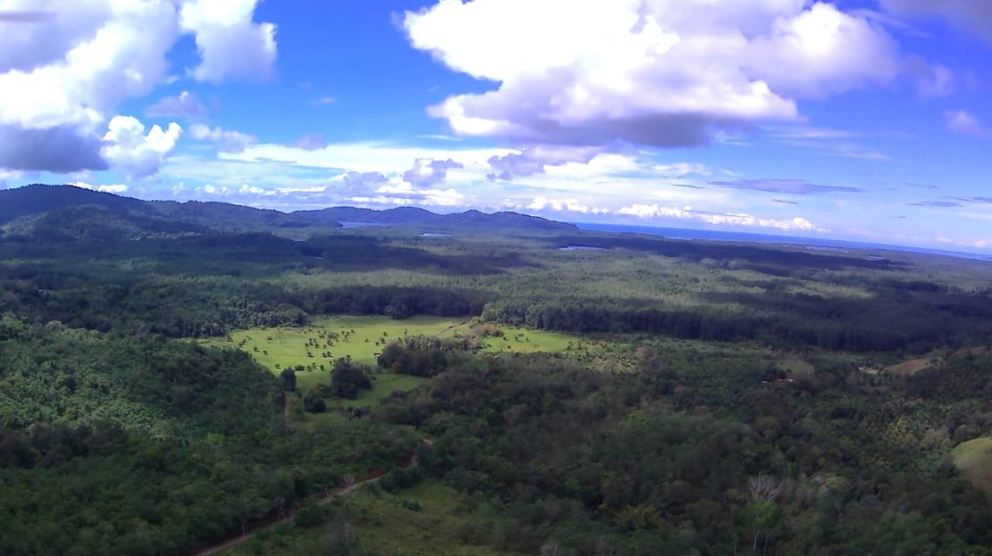 Osa Real Estate Listings 31051