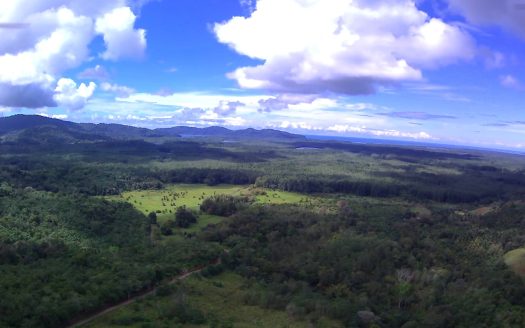 Osa Real Estate Listings 31051