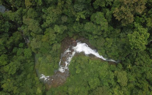 Osa>Bahía Drake Real Estate Listings 29743