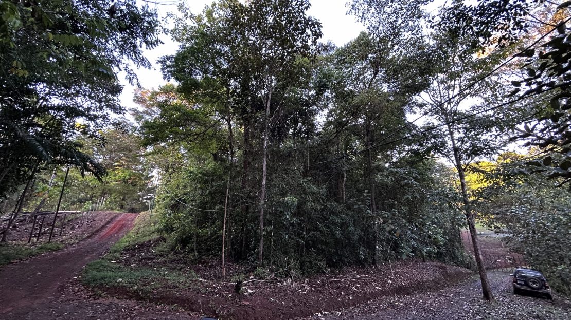 Osa>Bahía Drake Real Estate Listings 30925