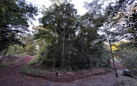 Osa>Bahía Drake Real Estate Listings 30925