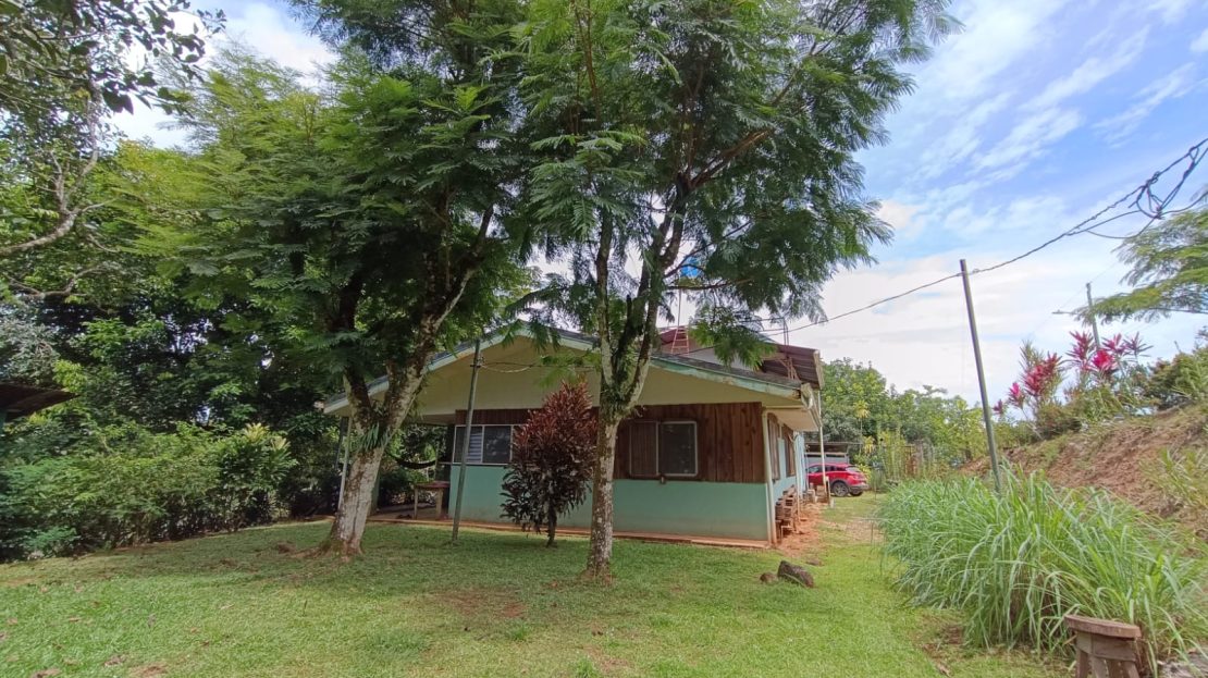 Osa>Sierpe Real Estate Listings 29537