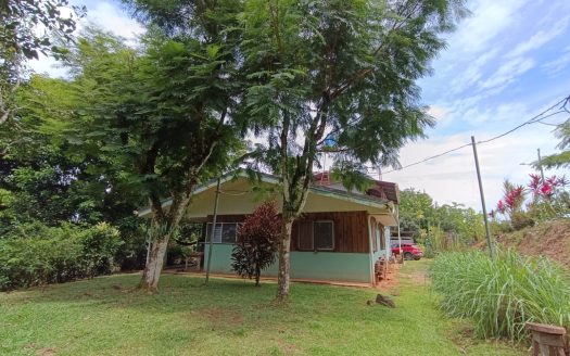 Osa>Sierpe Real Estate Listings 29537