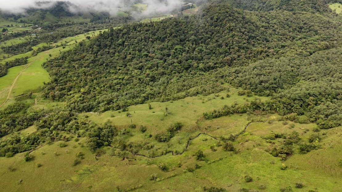 Valverde Vega Sarchí