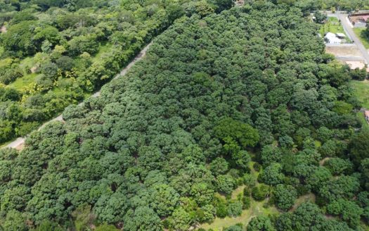 13,000m2 with a large number of fruit trees ideal for development or private farm