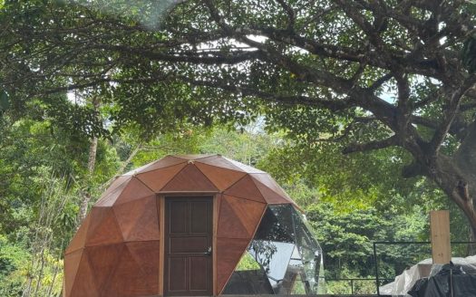 30,000m2 farm (7.5 acres) located 10 minutes from town with amazing Pacific views.