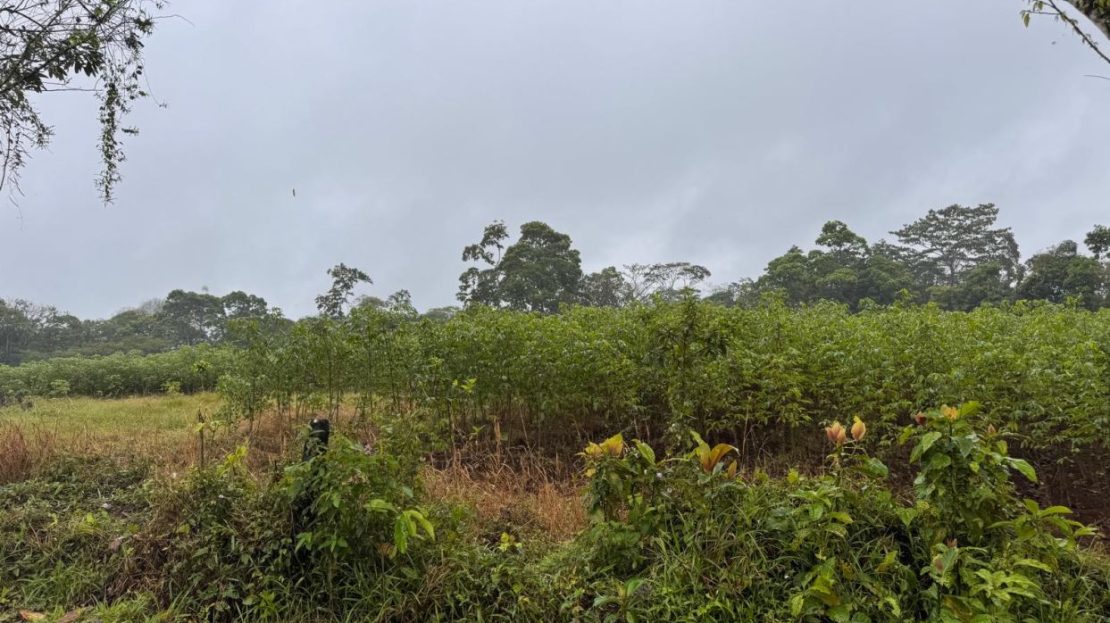 Beautiful 4.6 acres/18
