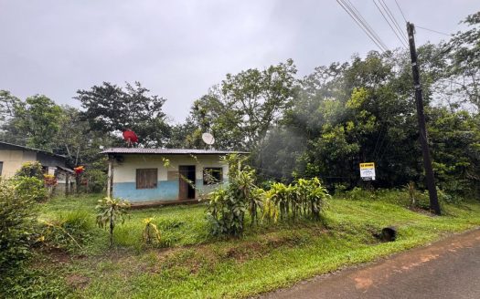 Beautiful 4.6 acres/18,540 M2 Land Santa Isabel-Rio Cuarto-development houses or Farm