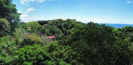 Unique Investment Opportunity in Manuel Antonio! (AVL)