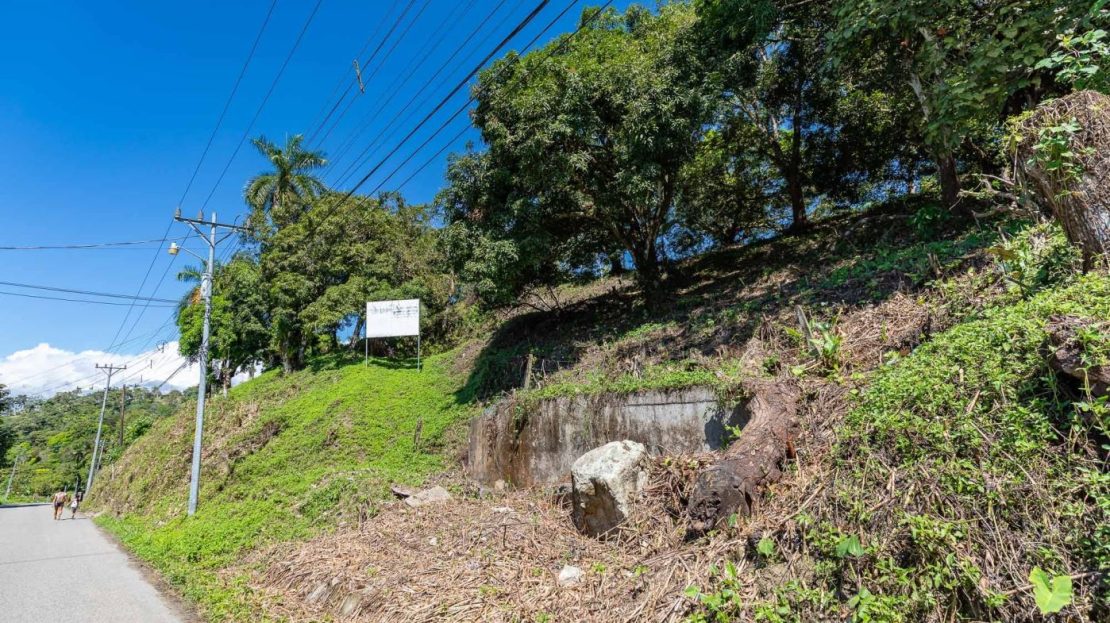 Unique Investment Opportunity in Manuel Antonio! (AVL)