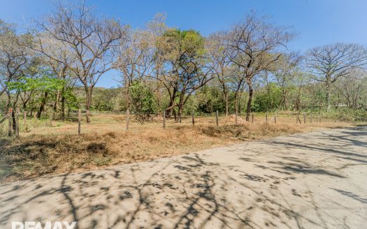 Prime Commercial Lot Near Nosara Airport — Strategic Development Opportunity