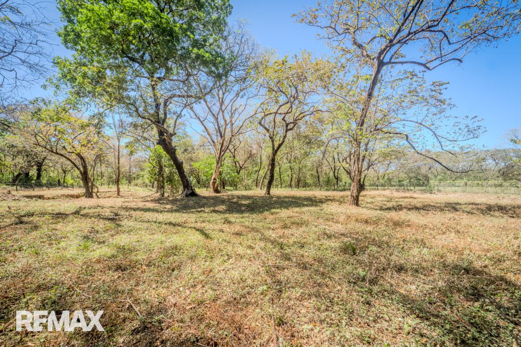 Prime Commercial Lot Near Nosara Airport — Strategic Development Opportunity