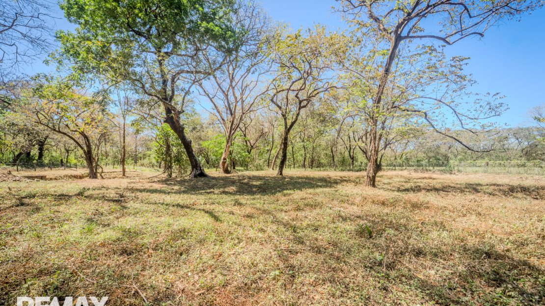 Prime Commercial Lot Near Nosara Airport — Strategic Development Opportunity Guanacaste | REMAX