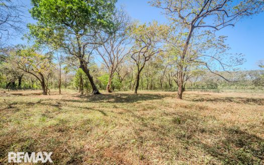 Prime Commercial Lot Near Nosara Airport — Strategic Development Opportunity Guanacaste | REMAX