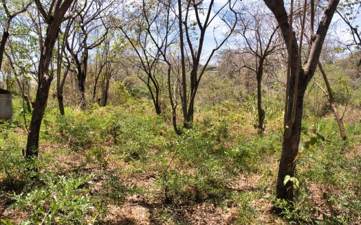 Private 5,096 m² Jungle Sanctuary in Nosara Springs: The Perfect Balance