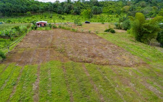 Puerto Jiménez Real Estate Listings 29701