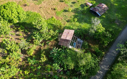 Puerto Jiménez Real Estate Listings 29731