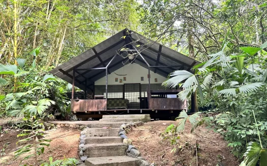 Puerto Jiménez Real Estate Listings 29893