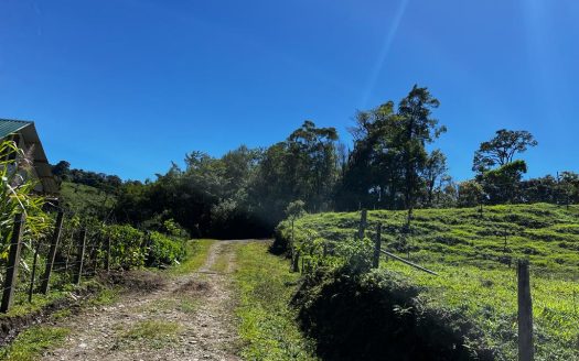 Puntarenas For Sale 25367 | RE/MAX Costa Rica Real Estate