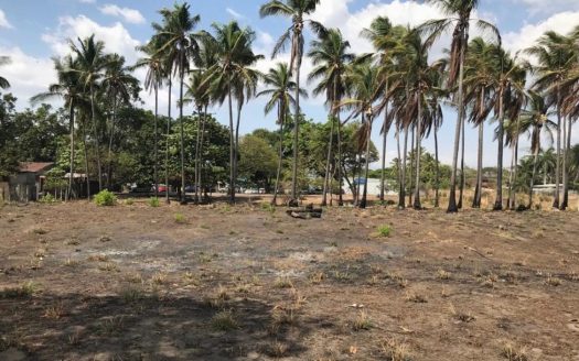 Puntarenas For Sale 27202 | RE/MAX Costa Rica Real Estate